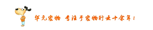 怎么判断狗狗吃饱没有(怎么看狗吃饱没有)
