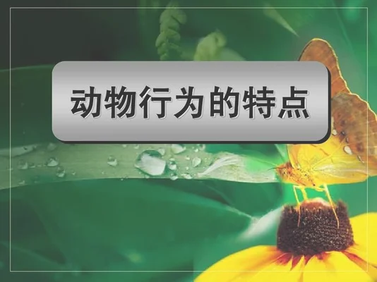动物特点：狗为什么喜欢摇尾巴呢？原来是有这