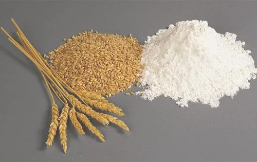一斤麦子出多少面粉