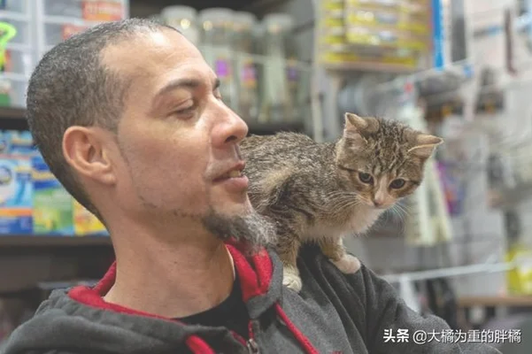 男孩捡流浪猫求宠物店主收养(百余只！桂林这个小伙有点烦)
