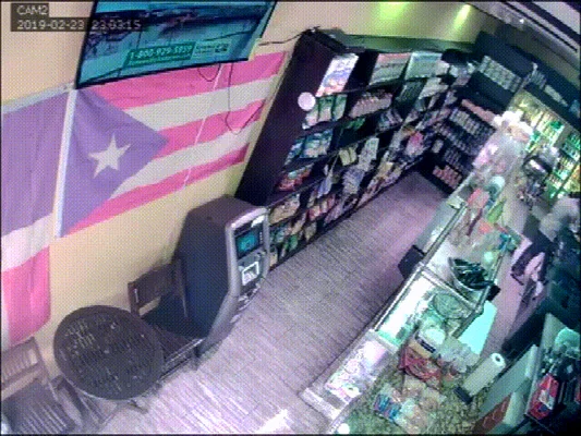 男孩捡流浪猫求宠物店主收养(百余只！桂林这个小伙有点烦)
