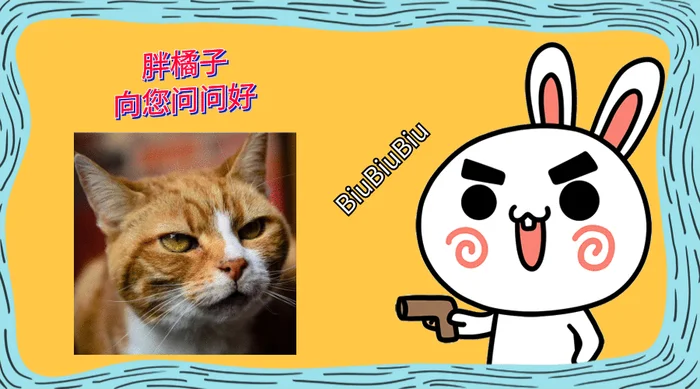 男孩捡流浪猫求宠物店主收养(百余只！桂林这个小伙有点烦)