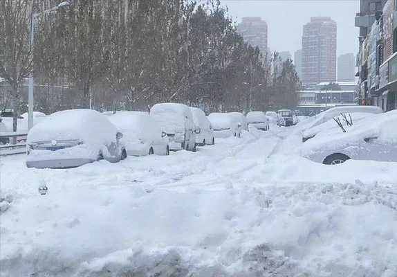 辽宁网友拍到少见“雷打雪”现象(看农村谚语咋说)