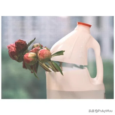 ddl是什么意思(数据库ddl是什么意思)