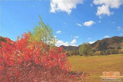 秋季京郊自驾一日游最佳去处,人少景美,自