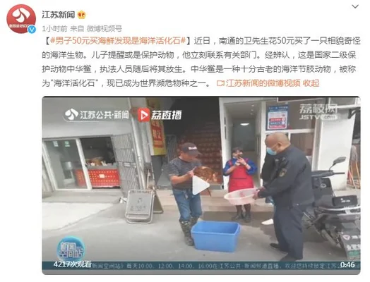 男子50元买海怪竟是国保中华鲎(世界濒危物种！男子50元买海鲜发现是“海洋活化石”)