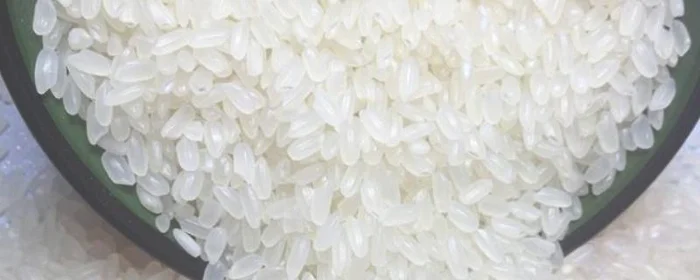 粳米和粘米有什么区别