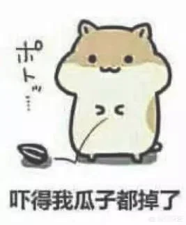 捡了一只猫，一直?吃饭怎么办