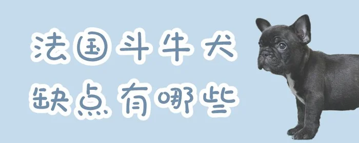 法国斗牛犬缺点有哪些