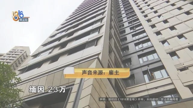 价值23万缅因猫坠楼(保姆被雇主追责并扣付九千余元)