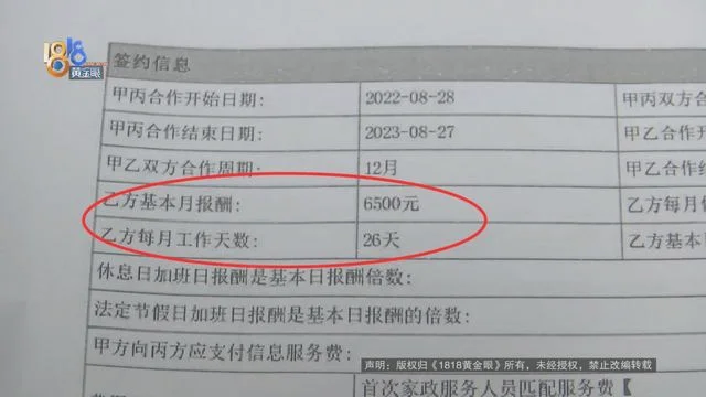 价值23万缅因猫坠楼(保姆被雇主追责并扣付九千余元)