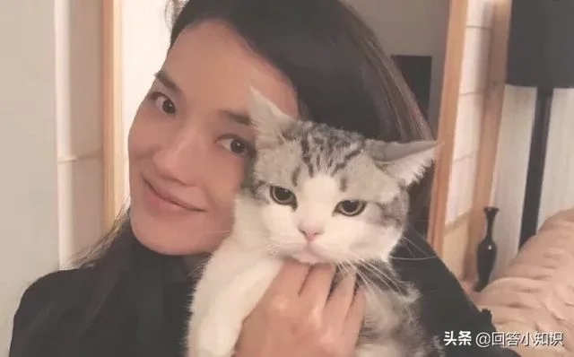 做什么事情会让猫咪讨厌你(猫最讨厌主人对他做啥)