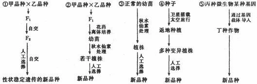 一、选种与培育