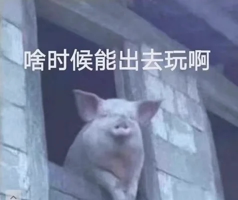 什么时候出去玩：什么时候出去玩,你最喜欢什么时候出去？
