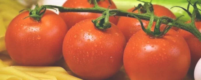 冻一年的西红柿能吃吗