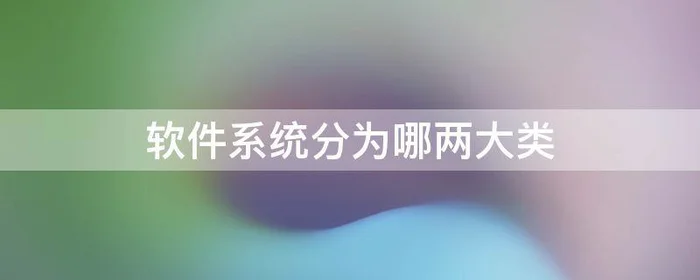 软件系统分为哪两大类