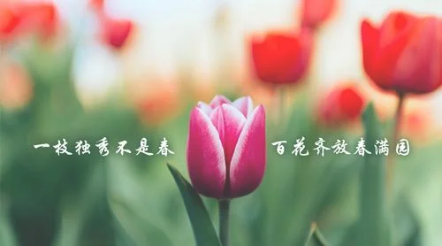 一花独放不是春的下一句