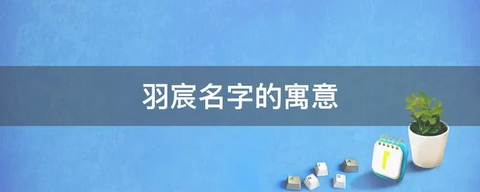 羽宸名字的寓意,宸羽这个名字的寓意