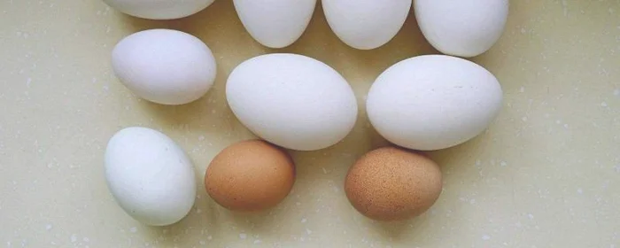 鹅蛋和鸡蛋哪个营养好,鹅蛋和鸡蛋哪个营养好些
