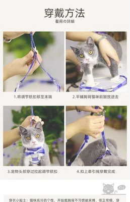 猫绳子怎么戴,猫绳子怎么绑？猫绳子的正确用法,赶紧来了解一下!