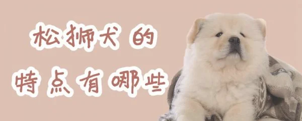 松狮犬的特点有哪些(松狮犬特点)