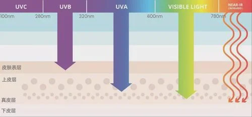 紫外线分为哪三种