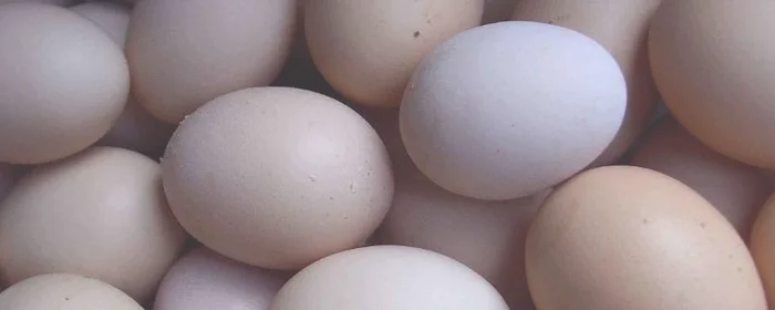 生鸡蛋放冰箱可以放多久,生鸡蛋放冰箱可以放多久时间