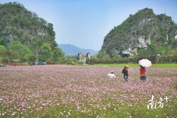 健康行程绿码(健康行程绿码是什么)