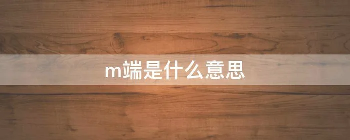 m端是什么意思