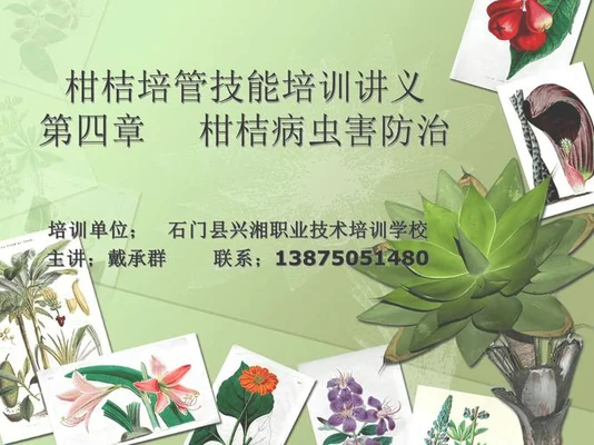 四、病虫害防治