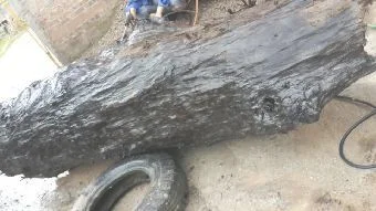 阴沉木市场价格多少钱一斤,阴沉木价格行情如何？