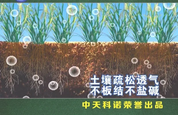 3、土壤的原因