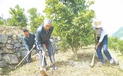 四、施肥
