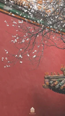 故宫雪景地图