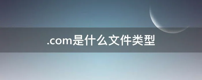 .com是什么文件类型