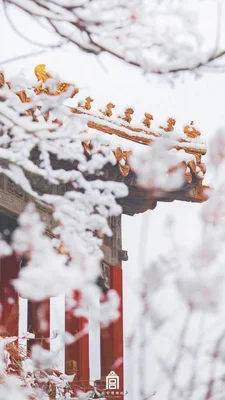 故宫雪景地图