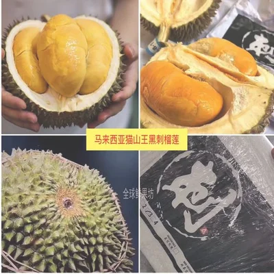 黑刺榴莲和猫山王区别