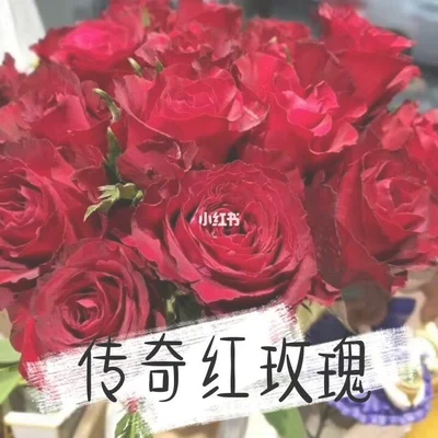 红玫瑰花的功效与作用