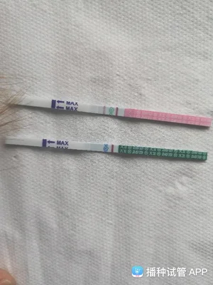 怎么判断自己怀孕没
