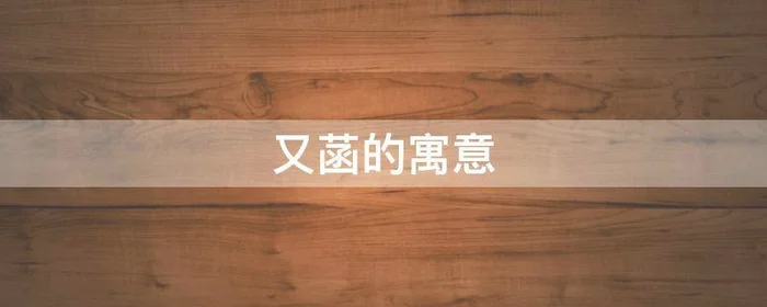 又菡的寓意