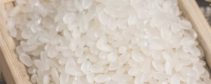 粥米是什么米