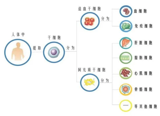 我想把孩子的干细胞存储起来，但不知道大约要花多少钱(有人建议把胎盘里的干细胞存储起来)