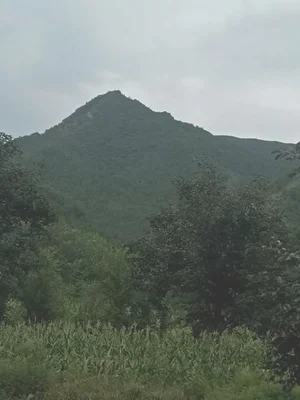 温县青峰岭一带是指哪个地方