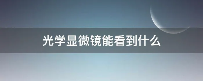 光学显微镜能看到什么,高中光学显微镜能看到什么