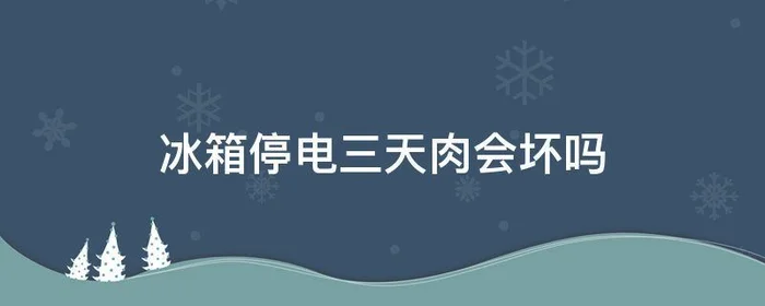 冰箱停电三天肉会坏吗