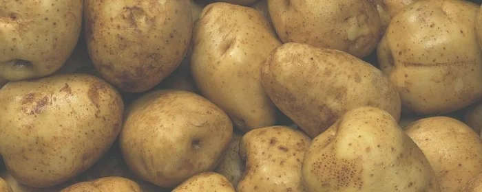 土豆的检验方法是什么,土豆的检验方法是什么原理