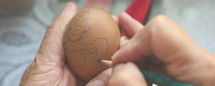 怎样取完整的空鸡蛋壳,如何取得一个完整的鸡蛋壳