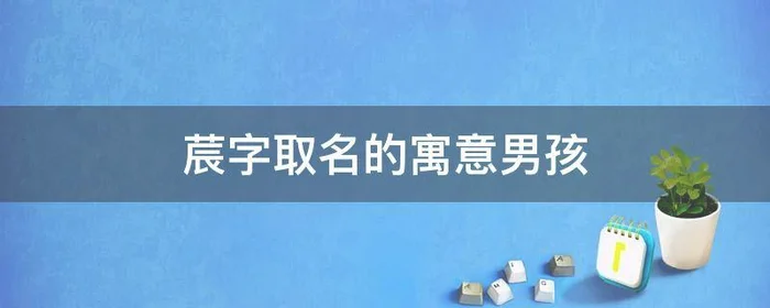 莀字取名的寓意男孩(莀字取名的寓意男孩