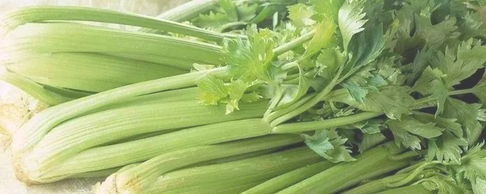 菜贩子蔬菜如何保鲜,菜贩子蔬菜如何保鲜 绿色