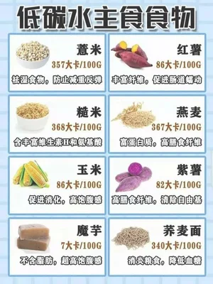 减肥食疗最好的方法是什么